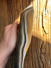 Zebra Catchall
